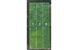Lot 3 Martin Road NE, Golden, MS 38847