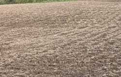 Hempstead Street, Martensdale, IA 50211