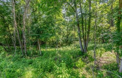1112 Mehryn Way, Verona, KY 41092