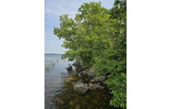 00 Mouse Island, Old Town, ME 04468
