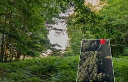 Lot 3 E Arthur Road, Rothbury, MI 49452