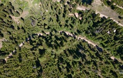 Tbd Forest Service Road 542, Lowman, ID 83637