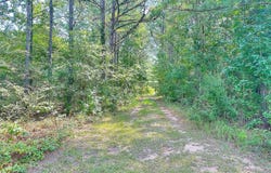 493 Jarrell Hogg Road, West Point, GA 31833