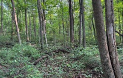 5.5+/- ACRES MOUNTAIN GREEN ROAD, WILLOW HILL, PA 17271
