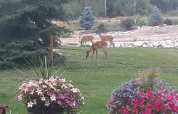 3127 Highway 93 N, Gibbonsville, ID 83463