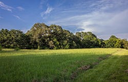 00 County Road 2138, Troup, TX 75789