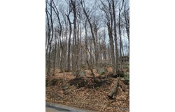 Hollywood Road, Old Forge, NY 13420