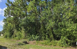 4100 SW Jive Street, Port Saint Lucie, FL 34953