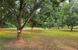 1535 Lattus, Union City, TN 38261
