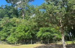 TBD Grass Roots Road, Groveland, FL 34736