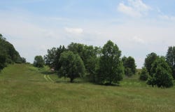 23742 Lawrence 1230, Aurora, MO 65605