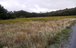 GARRETT TRAIL, OAKLAND, MD 21550