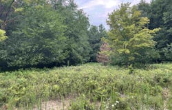 0 Moorish, Birch Run, MI 48415
