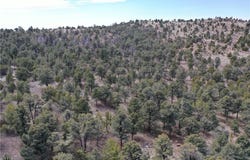 0 Pinion Pine, Pioche, NV 89043