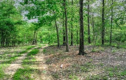 200 County Road 3635, Dike, TX 75437