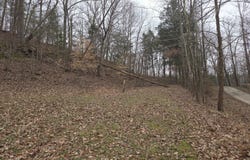 1 Hillcrest Ln, Cub Run, KY 42729