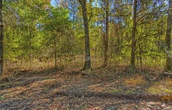 Lot 6 Melvin Lane, Dover, AR 72837