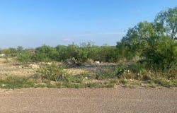 231 Ghost Rider Dr, Eagle Pass, TX 78852