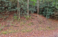 Lot 14b Pennington Branch Road, Damascus, VA 24236