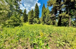 201 Discovery Drive, Donnelly, ID 83615