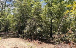 0 Moores Chapel Road, Mauk, GA 31058