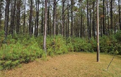 4858 Carsley Road, Waverly, VA 23890