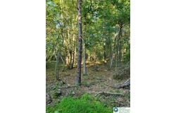 5120 Pine Tr Lane unit: 808,809, Tobyhanna Twp, PA 18346