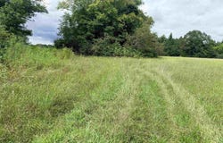 1 Yancy Lamb Drive, New Market, AL 35761