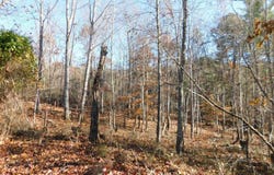 3525 BIG BRANCH Road, Riner, VA 24149