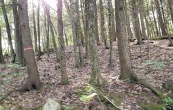 Lot 3 Town Hill Rd, Sandisfield, MA 01255