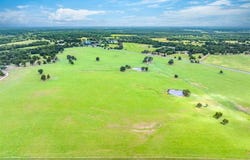0 VZ County Road 4705, Ben Wheeler, TX 75754