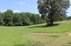 598 Paradise Rd, Bentonia, MS 39040
