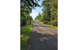 Lot 10 Co Rd 2015, Crane Hill, AL 35053