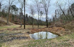 001-05451-000 TOMAHAWK SLAB ROAD, St Joe, AR 72675