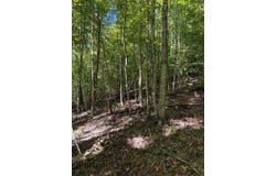 3825 Highway 191, West Liberty, KY 41472