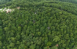 1267 Brushy Fork, Yellville, AR 72687