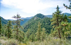 10697 COUNTY ROAD 43, Drake, CO 80515