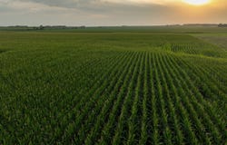 TBD 294 Rd, Seward, NE 68434