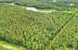 Goings Road lot: 10, Chester, SC 29706