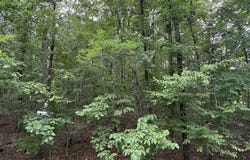 Hot Springs Village, AR 71909