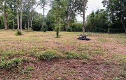 Lot 4 Cherrywood Drive, Guntersville, AL 35976