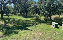 W1114 Blister Gold, Horseshoe Bay, TX 78657