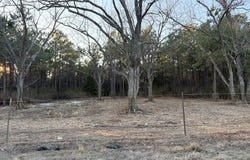 FM 250, Naples, TX 75568