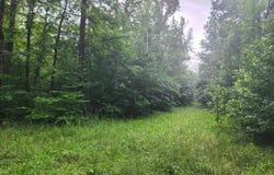 TBD Markerville Road, Story, AR 71970-9999
