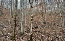2774 Mosley Bend Road, Hyden, KY 41749