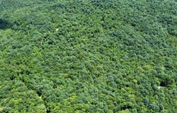 0 S Buffalo Rd, Oneida, TN 37841