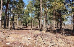 TBD Black Creek Road, Skanee, MI 49962