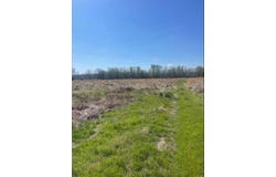 Holland Road, Hickory Plains, AR 72176