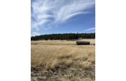 Lot E Forest Road 26, Alpine, AZ 85920