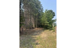 11482 Litzen Road, Copemish, MI 49625